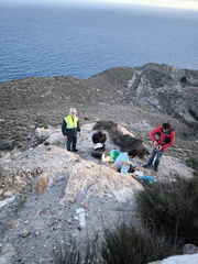 IMG 20241226 165220