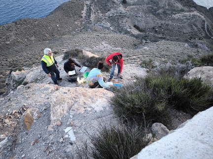IMG 20241226 165231